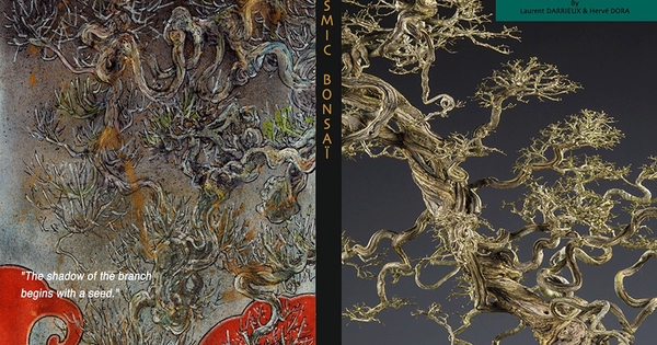 Cosmic Bonsaï (the book) - Ulule