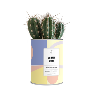 AŸ Cactus - La main verte