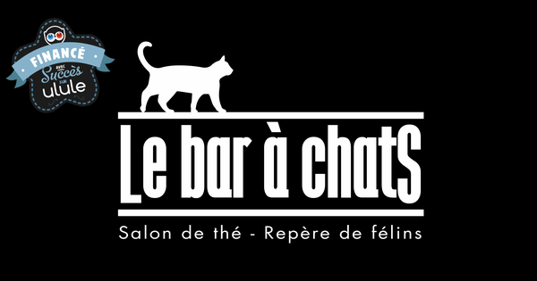 Le Bar A Chats Perpignan Ulule