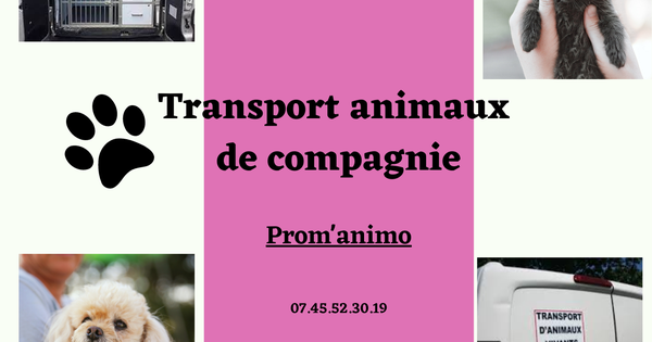Citation Sur Les Animaux De Compagnie
