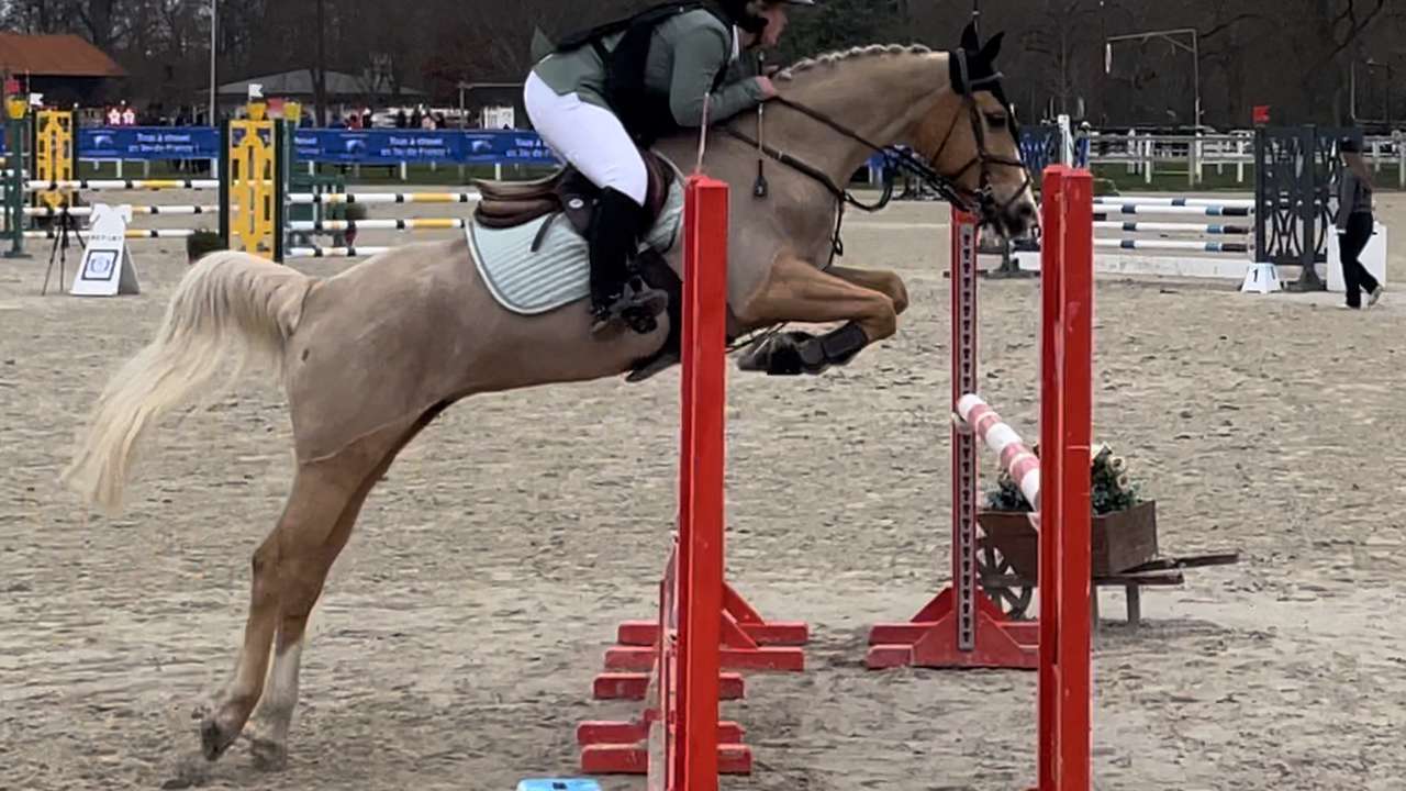 Objectif championnats de France poney 2023