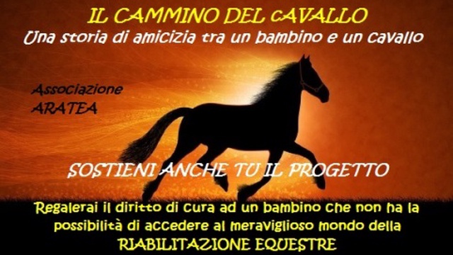 disagio del cavallo lab disagio del cavallo lab