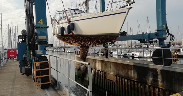 Coque en Osmose, moral morose