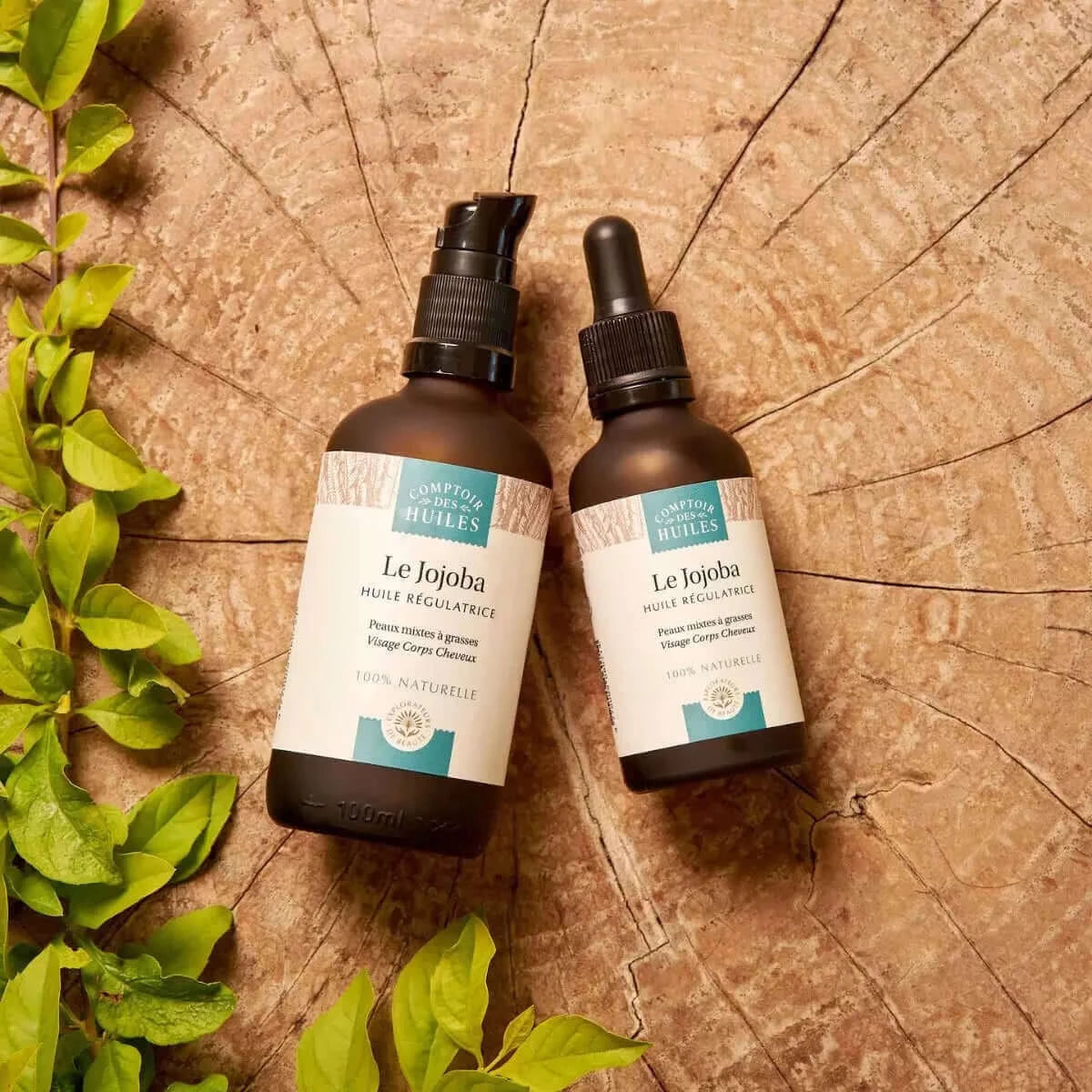 Huile de Jojoba