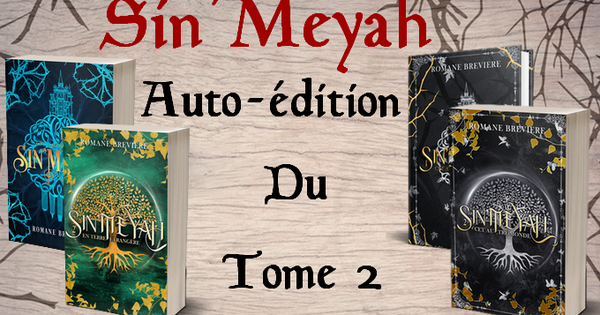 Sin'Meyah, Tome 2 : En terre étrangère - Ulule